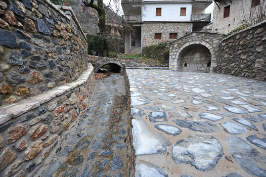 ΑΝΑΠΛΑΣΕΙΣ ΣΤΕΜΝΙΤΣΑΣ