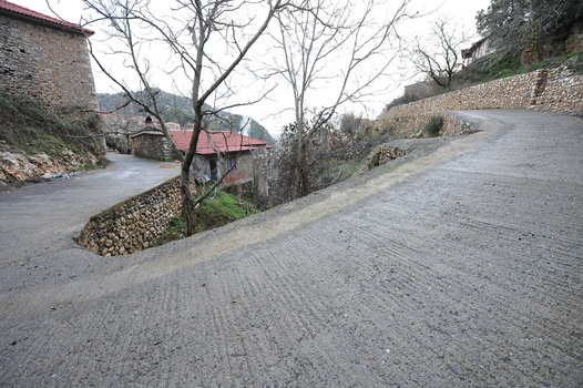 ΑΝΑΠΛΑΣΕΙΣ ΣΤΕΜΝΙΤΣΑΣ