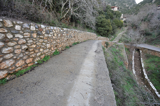 ΑΝΑΠΛΑΣΕΙΣ ΣΤΕΜΝΙΤΣΑΣ