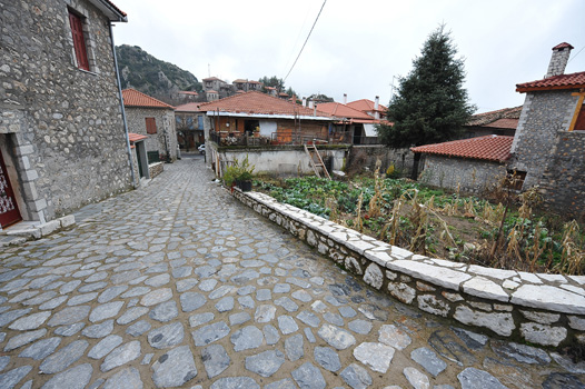 ΑΝΑΠΛΑΣΕΙΣ ΣΤΕΜΝΙΤΣΑΣ