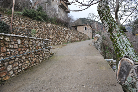 ΑΝΑΠΛΑΣΕΙΣ ΣΤΕΜΝΙΤΣΑΣ