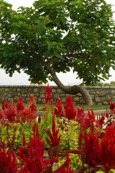 ΧΩΡΟΣ ΕΣΤΙΑΣΗΣ & ΑΝΑΨΥΧΗΣ ΣΥΡΝΑΣ