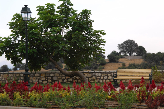 ΧΩΡΟΣ ΕΣΤΙΑΣΗΣ & ΑΝΑΨΥΧΗΣ ΣΥΡΝΑΣ